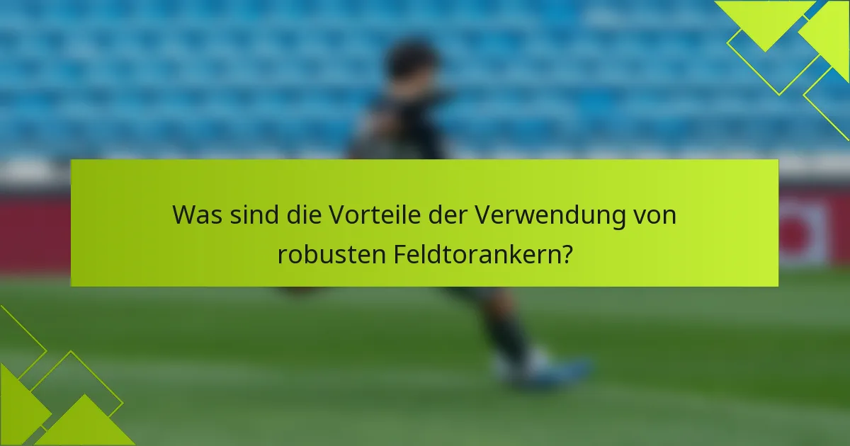 Was sind die Vorteile der Verwendung von robusten Feldtorankern?