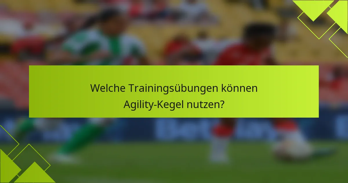 Welche Trainingsübungen können Agility-Kegel nutzen?