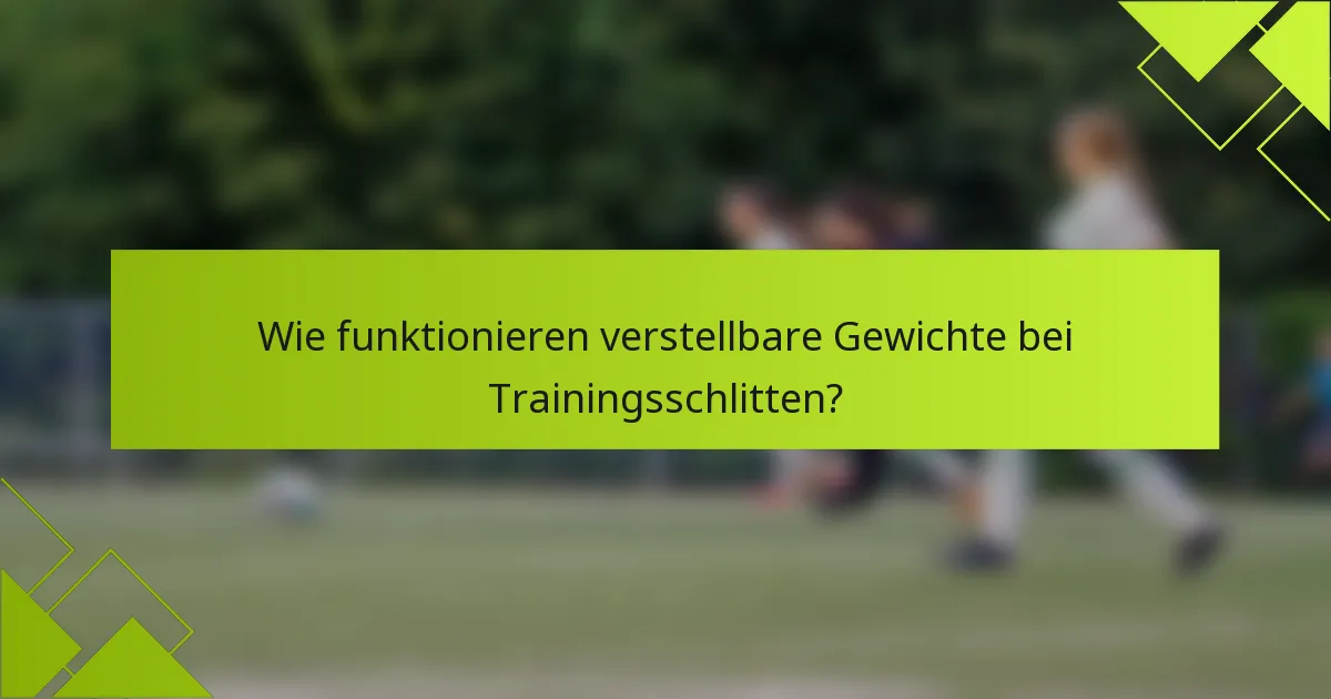 Wie funktionieren verstellbare Gewichte bei Trainingsschlitten?
